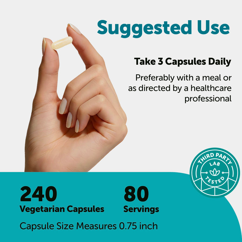 Hyaluronic Acid Complex 3000mg with Collagen & MSM, 240 Veg Capsules | Skin & Joint Support with Hyaluronic Acid, Collagen, Biotin, Vitamin C, Turmeric & Boswellia Extract | Non-GMO, Filler-Free**