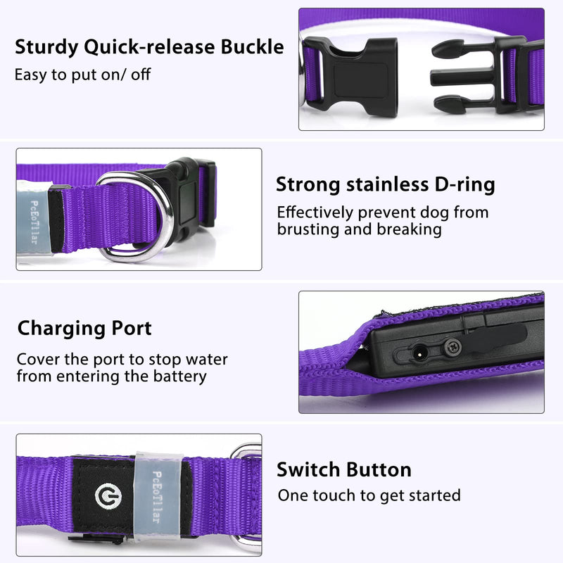 PcEoTllar Light up Dog Collar for Night Walking - LED Dog Collar Light Rechargeable Color Changing, Glow in The Dark Dog Collars Waterproof Glowing Dog Collars for Large Small Medium Dogs Purple M(15 inch-19.7 inch) - BeesActive Australia