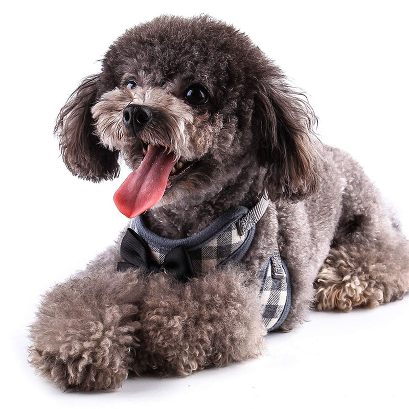 Rypet Small Dog Harness and Leash Set - No Pull Pet Harness with Soft Mesh Nylon Vest for Small Dogs and Cats Gray M Medium (7-15 lbs) - BeesActive Australia