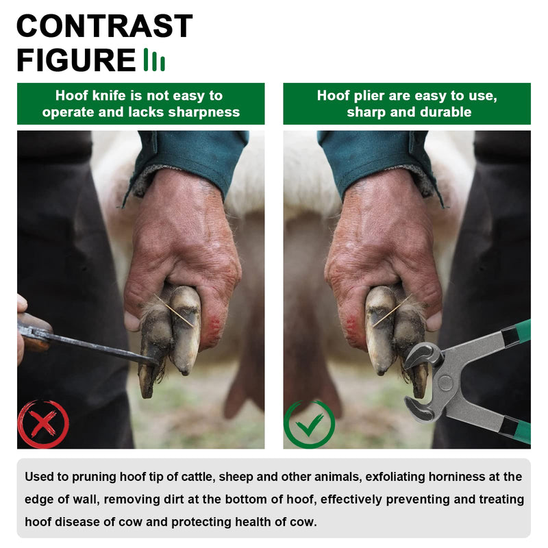 Goats Hoof Nipper 8" Carbon Steel Farrier Tool Multi-Purpose Hoof Trimmers with Plastic Grips for Cattle Sheeps Horses 8in. Green - BeesActive Australia