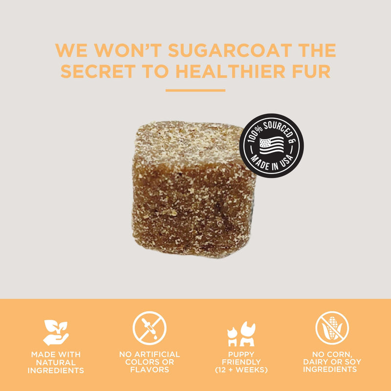 Natural Rapport Dog Skin and Coat Supplement - The Only Skin and Coat Soft Chews Dogs Need - 120ct Treats that Contain Salmon Oil and Omegas 3, 6, & 9 Skin Health Chew