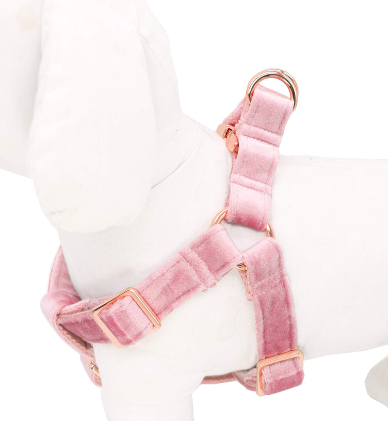 ARING PET Dog Halter Harness, Velvet Dog Harness, No Pull Dog Halter Harness, Adjustable Heavy Duty Dog Harness for Small Medium Large Dogs Small (Pack of 1) Pink - BeesActive Australia