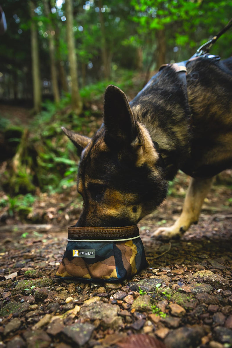 Ruffwear, Front Range Dog Collar, Durable and Comfortable Collar for Everyday Use, Red Canyon, 14"-20" 14"-20" - BeesActive Australia