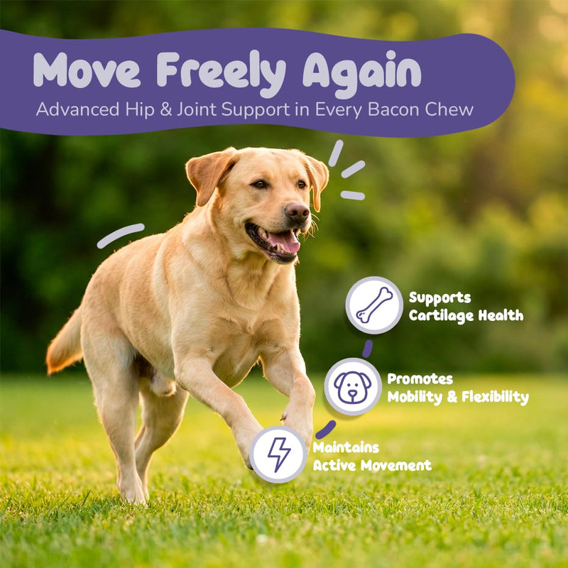 Hip and Joint Supplement for Dogs - Extra Strength Glucosamine for Dogs with MSM, Chondroitin & Vitamin C - Joint Pain Relief & Dog Mobility Soft Chews - 90 Bacon Flavored Chews