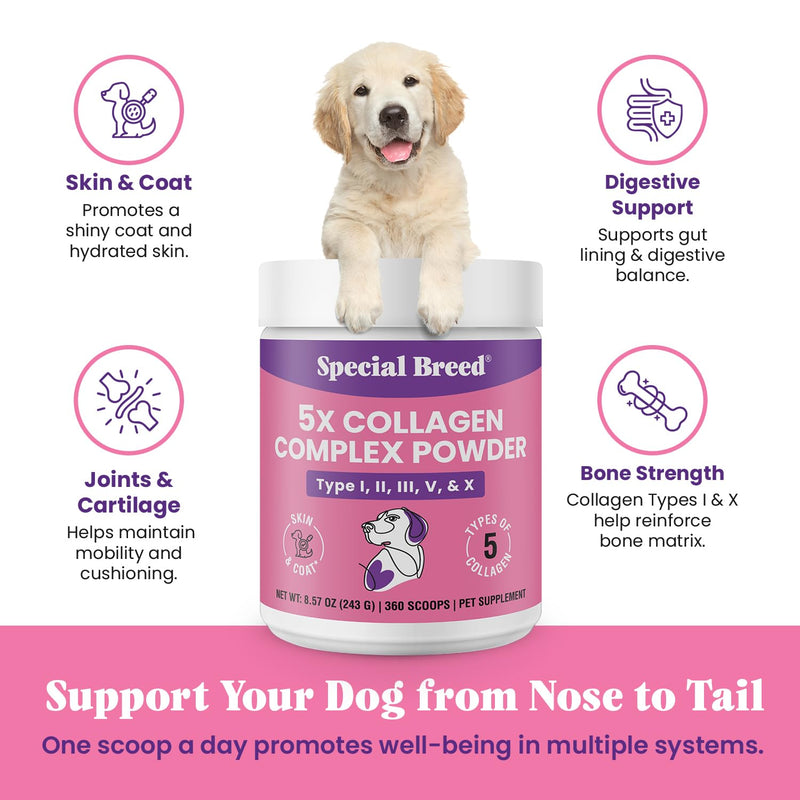 Premium 5X Collagen Powder for Dogs - Types I, II, III, V & X - Skin, Join, Gut & Coat Support - Collagen Powder with Bamboo & Vitamin C, 180 Scoops 8.57 oz 8.57 Ounce