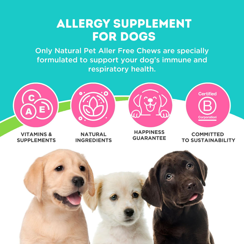 ONLY NATURAL PET AllerFree Advanced Allergy Support for Dogs w/Quercetin & Probiotics - Immune, Respiratory, Skin & Coat Health - Itchy Paws & Licking - Bacon-Flavored 60 Soft Chewable 60 Count (Pack of 1)