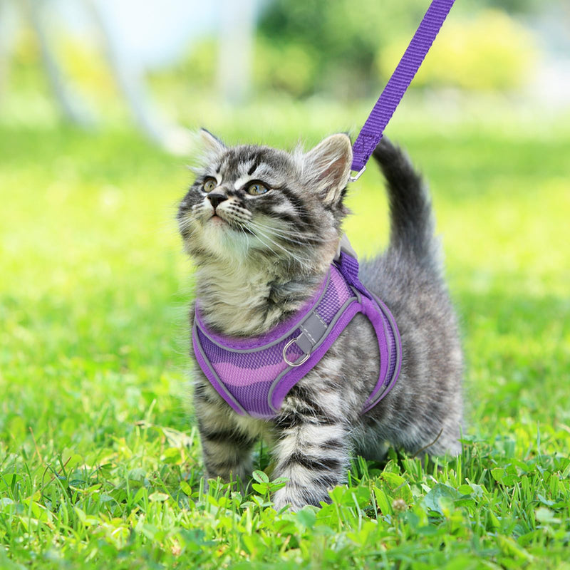 Brifit Cat Harness with Leash, Cat Harness, Cat Leash with Reflective Stripes and Breathable Mesh, Adjustable Cat Chest Harness, Soft Harness for Cats, Kittens, Dogs, Upgraded Purple XS - BeesActive Australia