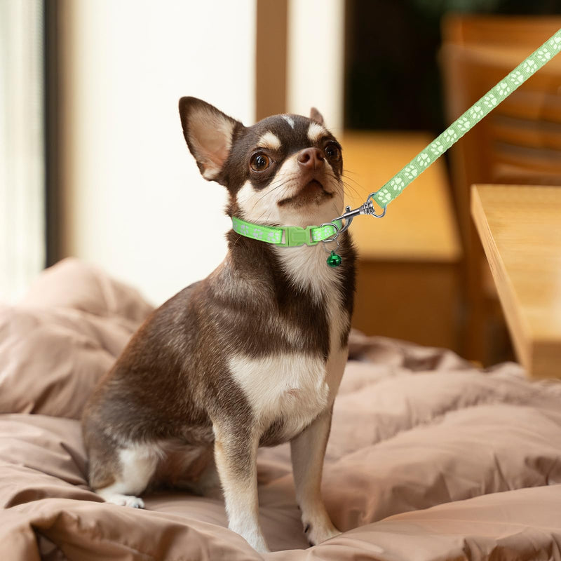 3 Pack Puppy Collar and Leashes Dog Collar and Leash for Small Dogs Pet Cat Kitten Collar and Leashes Adjustable Training Rope Quick Release Paw Print Soft Nylon Pet Collar - BeesActive Australia