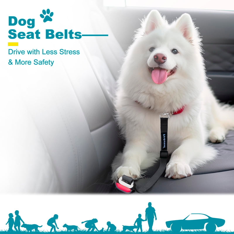 2 PCS Dog Seat Belt for Car Frskcssd Adjustable Dog Car Harness Heavy Duty Nylon Dog Safety Seat Belt Durable Pet Seat Belts for Small & Large Dogs Supports All Cars Quick & Easy Installation (Black) Black - BeesActive Australia