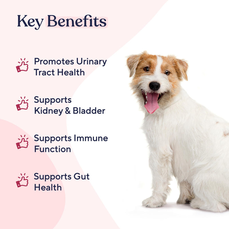 Pawfy Dog UTI Supplement | Cranberry & D-Mannose for Urinary Tract & Bladder Health | Ideal for Senior Dogs | Urinary Tract Infection Control | Dog Vitamins and Supplements - 30 Chews - BeesActive Australia