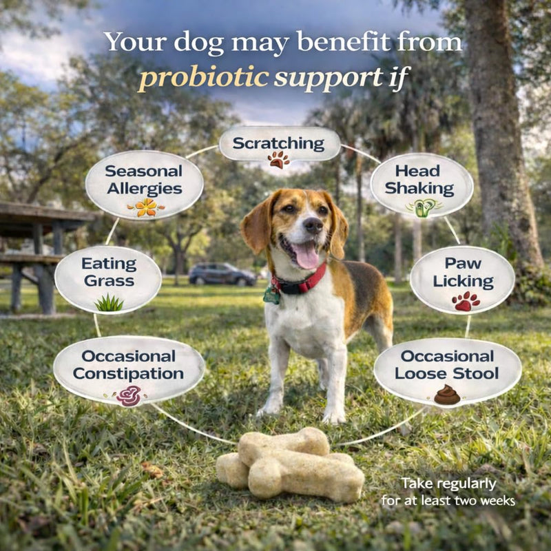 Probiotics for Dogs - 10 Strain Dog Probiotic Chews with 3 Billion CFUs, Pre & Postbiotics for Gut Health and Digestive Support, Helps Support Occasional Diarrhea, Beef Flavor, 30 Chews