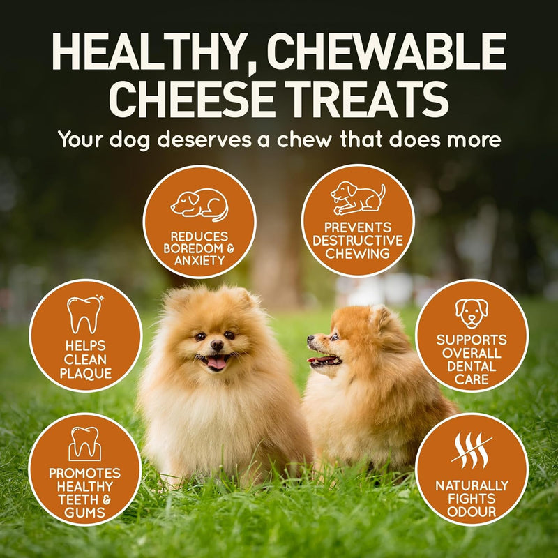 Wildfang® Yak Chews, X-Small for Dogs Under 22 lbs – Dog Dental Chew Stick, Hardness Like Himalayan Yak Cheese, Churpi-Style Cheese Sticks, Dog Treats & Puppy Training Treats, Approx 1 oz, Pack of 3 XS (Dogs under 22 lbs)