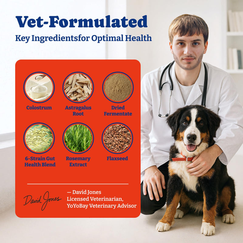 Dog Allergy Relief Chews – 70 Soft Chews, Salmon & Blueberry Flavor - Immune Support & Itch Relief with Colostrum, Astragalus Root, 6-Strain Gut Health Blend 70 Count (Pack of 1)