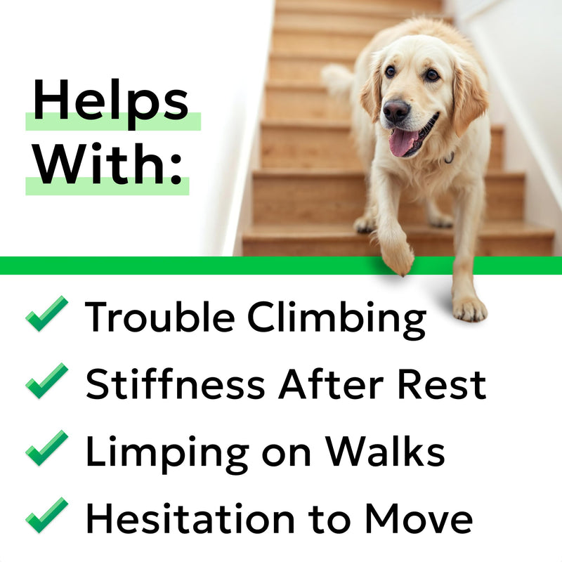 BARK&SPARK Joint Supplement for Senior & Adult Dogs – Glucosamine & Chondroitin for Mobility Support – Hip & Joint Care Chews – Made in the UK – 60 Soft Treats 60 Joint Care Chews
