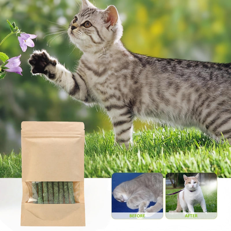 16PCS Cat Dental Treats & Teeth Cleaning To/ys with Catnip,Fresh Cat Dental Treats,Natu/ral Grass Cat Chew Sticks,Cat Chew Sticks & Teething T/oy,Cat Grass for Indoor Cats Teething