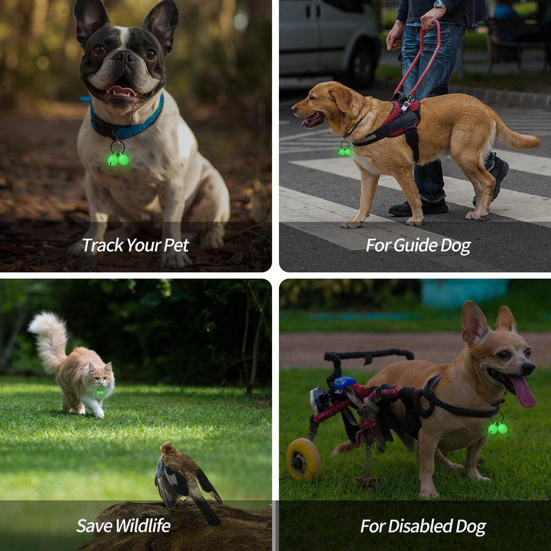 Bells for Dog Collar, Extra Loud Dog Cat Glow Bell for Pet Tracking & Saving Wildlife, Birds, Durable Iron Split Ring & Lobster Bell Clip - BeesActive Australia