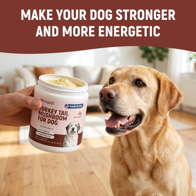 Turkey Tail Mushroom for Dogs - Premium Immune Support Supplement, Mushroom Supplement for Lumps & Bumps, Immunity, Gut, Skin & Joint Support, Natural Powder for Dogs - 200 Scoops, 7.05 oz