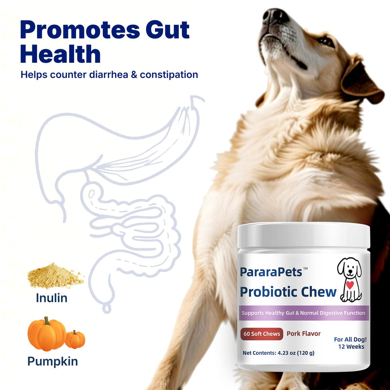 Probiotics for Dogs,Dog Gut Health Probiotics,Gastrointestinal Health Promotes Digestion and Nutrient Absorption, 60 Soft Chews