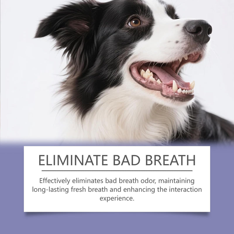 Dog Dental Water Additive, 200ml/6.76fl oz, Helps Freshen Breath & Helps Reduce Tartar, No Brushing Required, Gentle Formula for Daily Oral Care