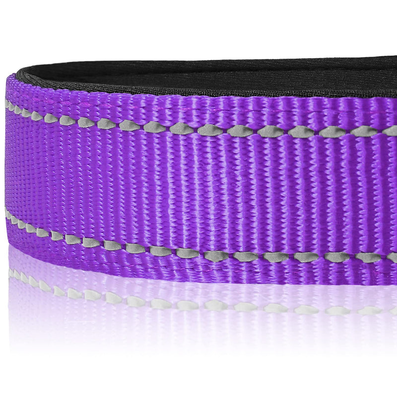 Joytale Dog Collar, Padded Wide Dog Collar Made of Neoprene Nylon Dog Collar Adjustable for Medium Dogs, Soft and Reflective Dog Collars, M, Purple M (Pack of 1) - BeesActive Australia