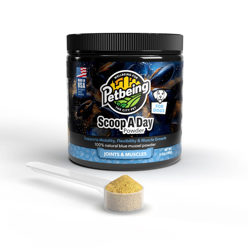 Dog Muscle & Joint Support Bundle – Mega Muscle Chewable Tablets + Scoop A Day Blue Mussel Powder | High Protein, Weight Gain, Mobility & Immune Booster | All Life Stages | Made in USA