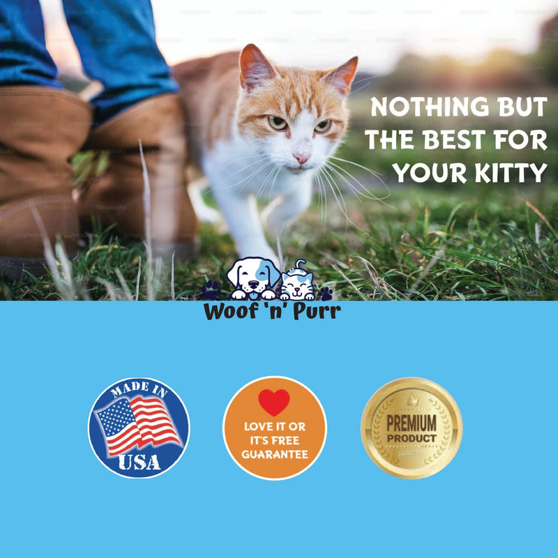 Taurine for Cats - Taurine Supplement for Cats - Supports Healthy Vision, Heart, Immune System, & Much More - Cat Heart Supplement - 1 fl oz - Roast Chicken Flavor - 2 Pack