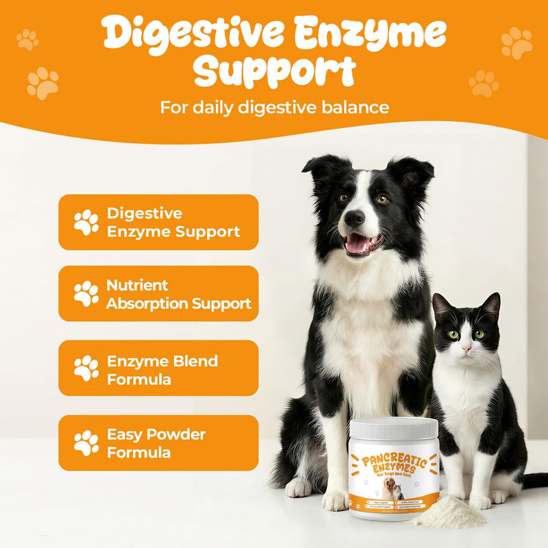 Pancreatic Enzymes for Dogs, Pancreatin Digestive Enzyme Powder for EPI Support, Porcine Pancreatin with Amylase, Protease & Lipase, Helps Maintain Digestion, Stool Consistency & Weight Balance – 2 oz