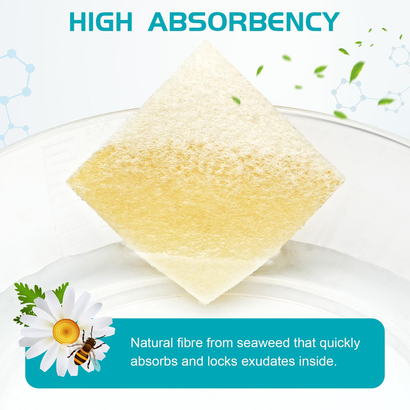 Manuka Honey Calcium Alginate Wound Dressing 2"x2" Pack of 10, Medical Grade Manuka Honey Wound Care Bandages High Absorbency Patches for Wounds - BeesActive Australia