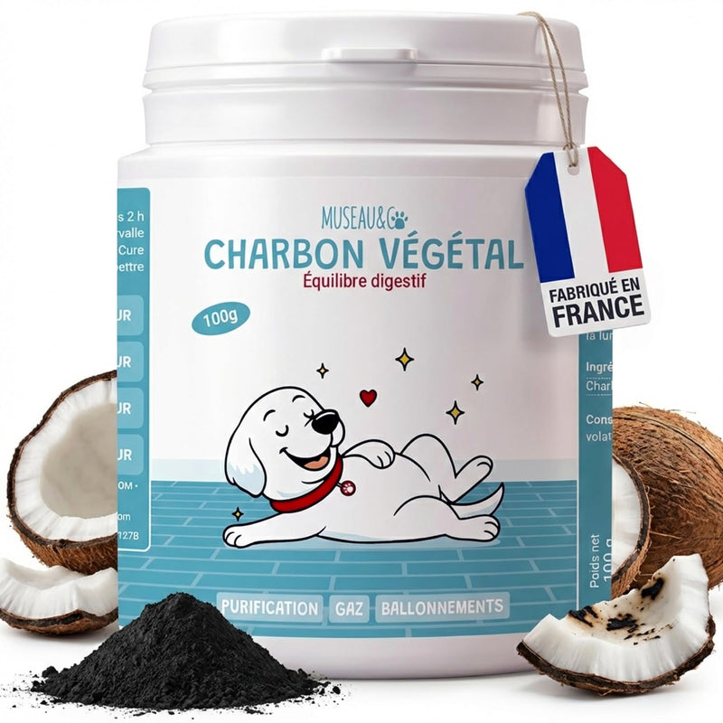 Museau & Co Activated Charcoal for Dogs and Cats - 100g - Digestion, Bloating, Constipation, Diarrhea, Excessive Flatulence Made in France