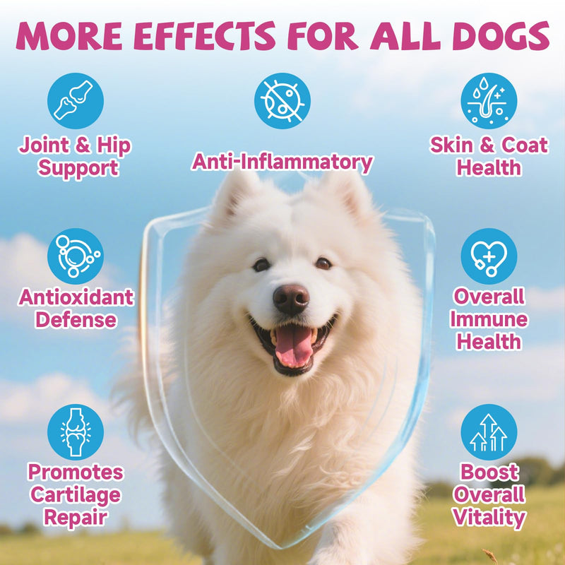 Collagen for Dogs Joint Health, Grass-fed Dog Collagen Drops with Omega 3, Vitamin C for Skin & Coat, Dog Hip and Joint Supplement with Glucosamine, Chondroitin, Hyaluronic Acid-Bone, Immune-2 Fl