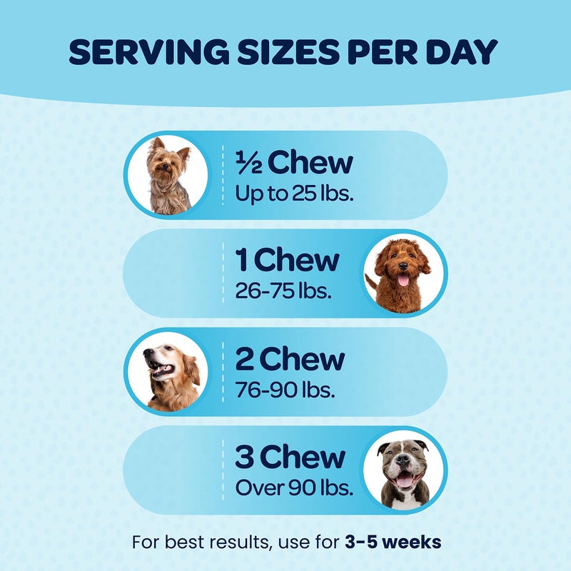 12-in-1 Complete Multivitamin for Dogs | Dog Multivitamin Chewable with Glucosamine Chondroitin & Digestive Probiotics for Dogs of All Ages and Sizes | NASC Certified & Made in The USA | 90 Chews 90 Count (Pack of 1) - PawsPlanet Australia