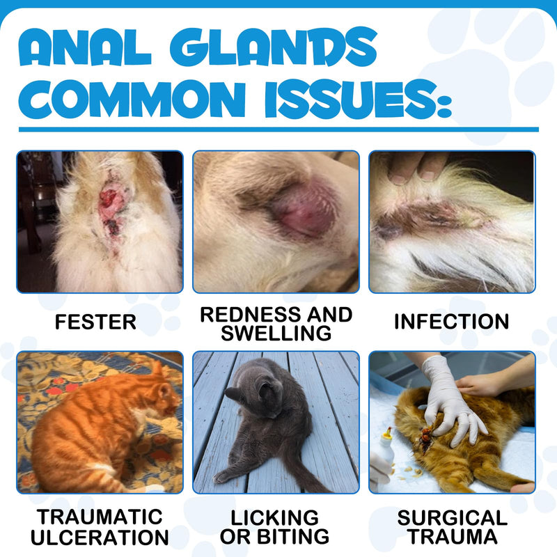 Anal Gland Spray for Cats, Pain Relieving & Anti-Itch Formula, Enriched with Aloe Vera, Comfort and Preventing Irritation, Anal Gland Support Spray for Cats, Pain Relieving Safe for All Cats