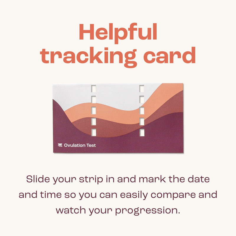 bird&be Ovulation Test Strips (LH) | 10 High-Accuracy Predictor Kits | Track Fertile Window & LH Surge | Eco-Friendly Low-Waste Design | Easy Dip & Read Results | TTC Fertility Monitor White 10 Lh Strips - BeesActive Australia