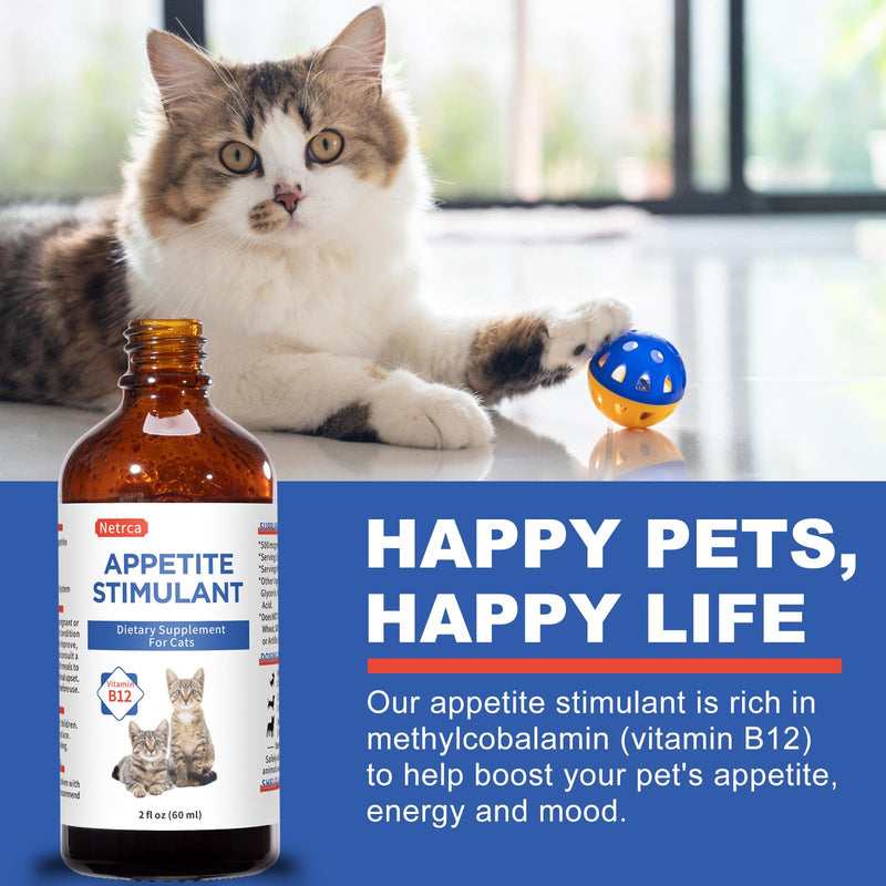 Cat Appetite Stimulant - Vitamin B12 (Methylcobalamin) Liquid Supplement - Boosts Appetite, Energy, and Mood - 60 ml