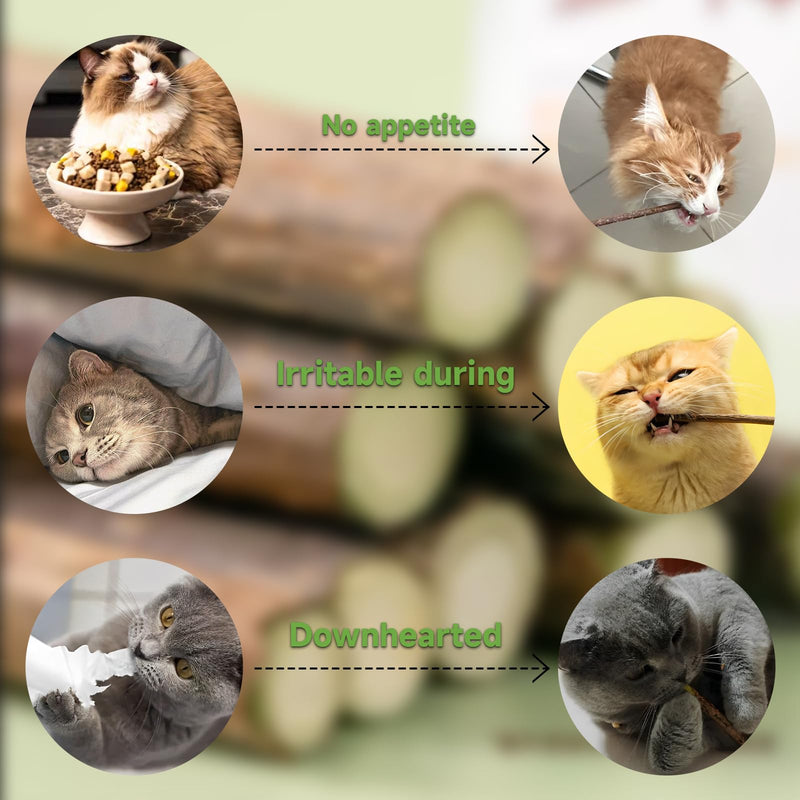 Simsky 5 pieces catnip sticks - cushion for cats with dental care - cat toy with natural catnip - BeesActive Australia