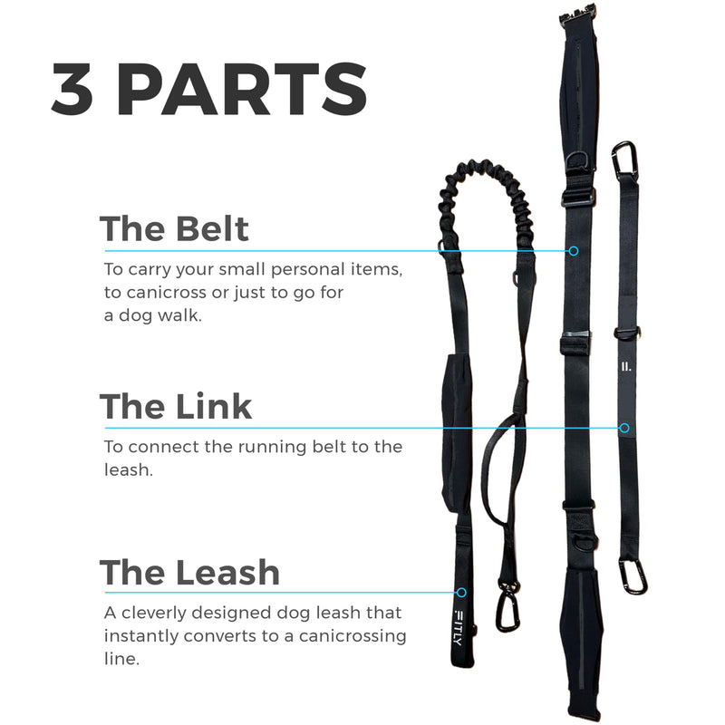 Dog Running Waist Belt - Running Dog Lead - Canicross Harness Carry Personal Items Running, Walks, Hikes - Waist Leads for Dogs with Belt Pouch, Converts into Canicrossing Line - Nifty Black - BeesActive Australia