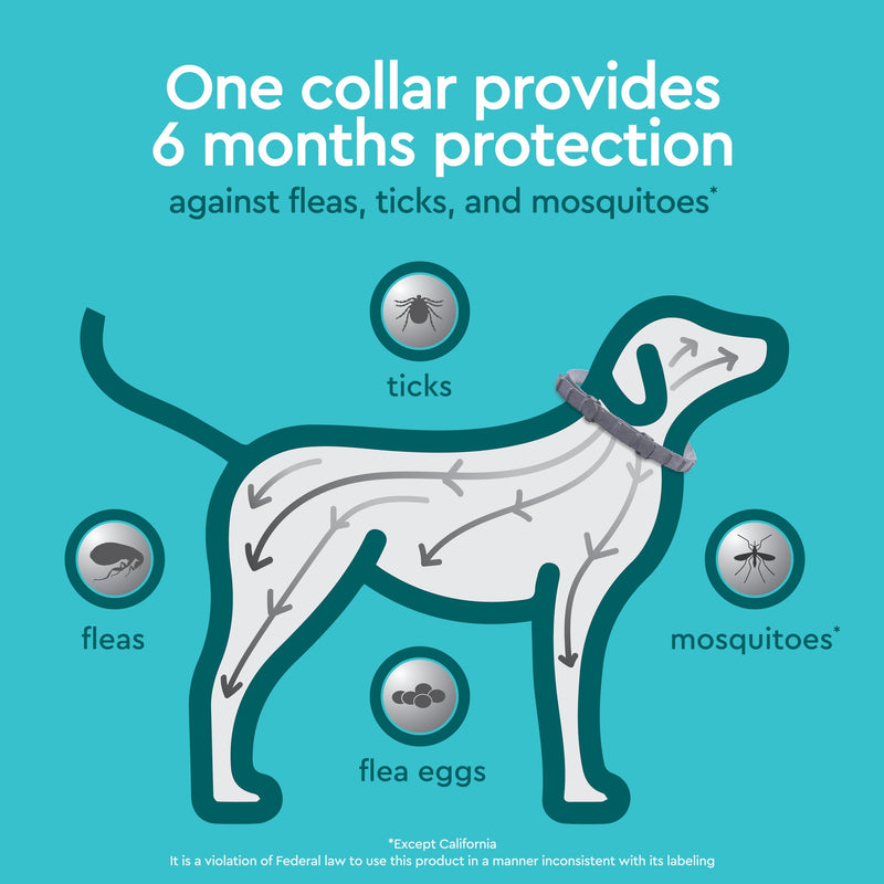 Provecta® PRO Flea & Tick Collar for Dogs