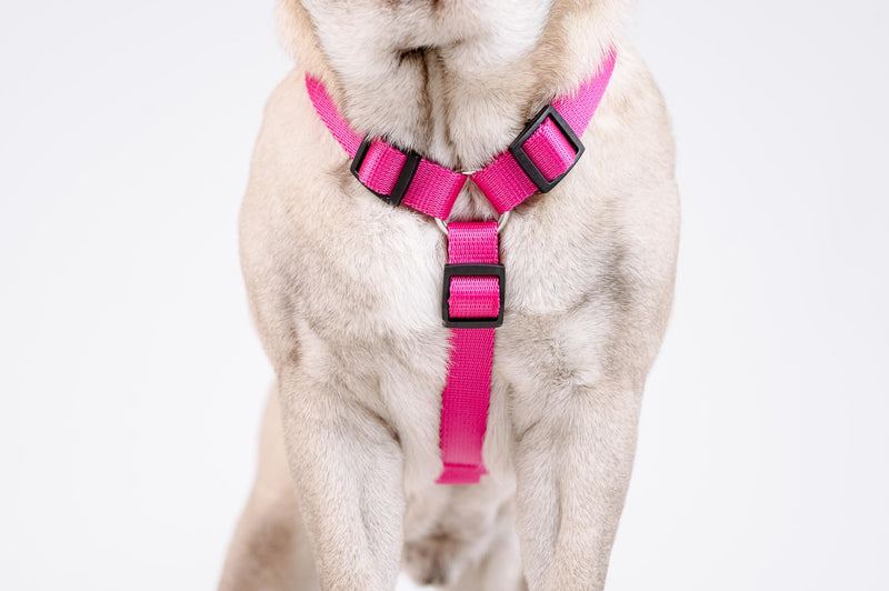 Chaba Guard Dog Harness for Small and Medium Dogs with Control, Anti-Pull & Choking, Adjustable, Comfortable and Lightweight, Classic Step-in Chest Harness, Dog Harness, Size M, Fuschia Pink - BeesActive Australia