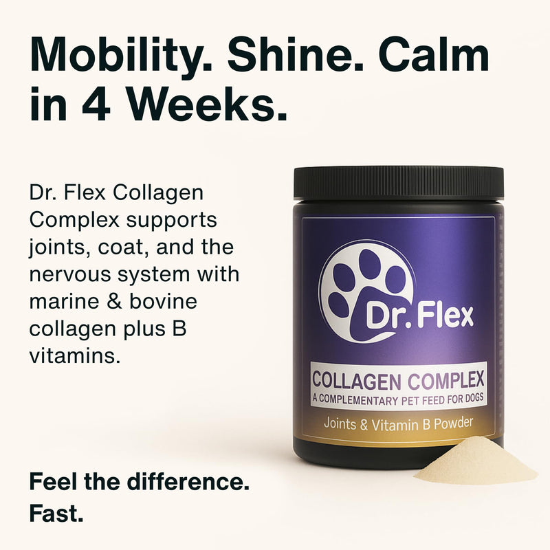 Dr. Flex Collagen Powder for Dogs | 300g Bovine & Marine Collagen | Joint & Mobility Support for All Dogs | High Strength Vitamin B Complex (B1 B2 B3 B5 B9 B12) | Aids Skin, Coat Health & Digestion Collagen Complex