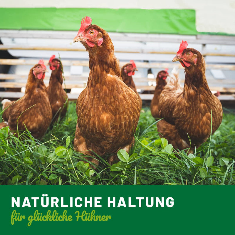 CHICKENS Land Calm Liquid - anti-stress drops for chickens, quails & poultry, sedative against stress and anxiety | natural relaxation for chickens with high acceptance, 110ml - BeesActive Australia