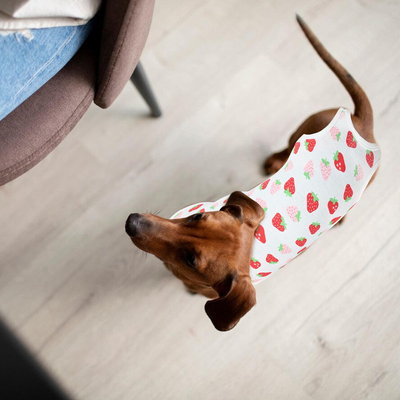 Cat Recovery Suit, E-Collar Alternative for Cats Pets, Professional Recovery Suit for Belly, Surgical Recovery Suit, Medical Vest, Cat Suit for Small Medium L Strawberry Pattern - BeesActive Australia