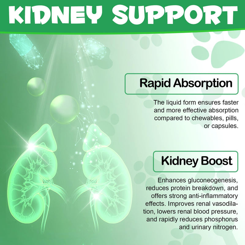Kidney Support for Cats, Cat Kidney Treatment Support Normal Kidney Function, Increase Immunity, Herbal Supplement Supports Healthy Kidney Function, 60ml