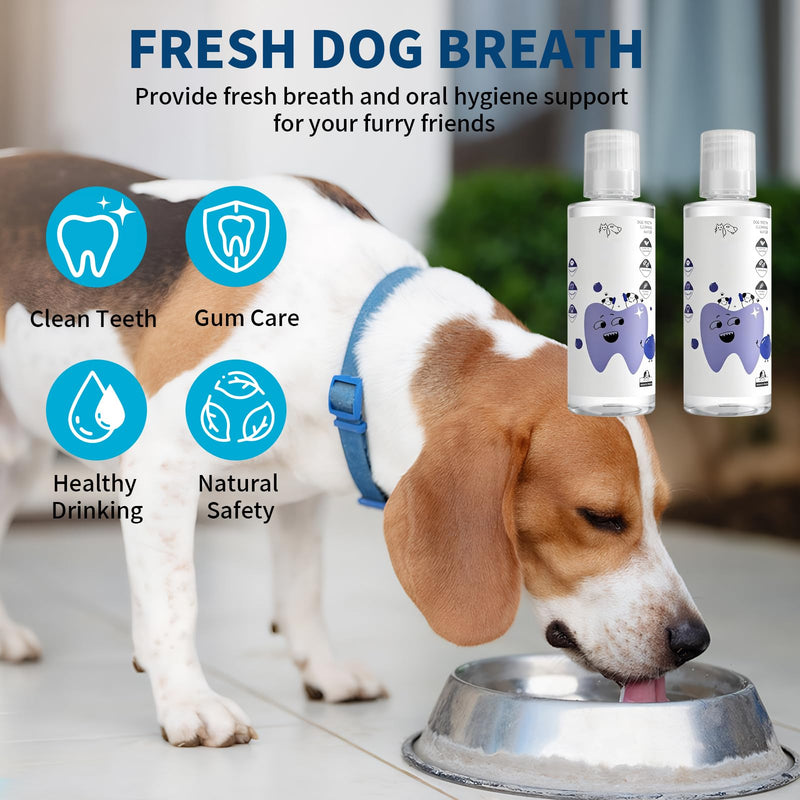 2 PCS PawBright Dental Plus,Natural, Odorless & Flavorless Teeth Cleaning Mouthwash to Fight Tartar,Promote Healthy Gums & Freshen Breath,Easy Daily Use for all Pet