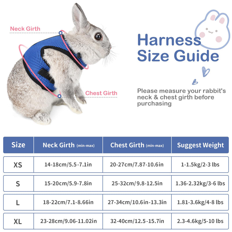 Pettom Bunny Rabbit Harness with Stretchy Leash Cute Adjustable Buckle Breathable Mesh Vest for Kitten Small Pets Walking (L(Chest:10.6-13.3 in), Blue) L(Chest:10.6-13.3 in) - BeesActive Australia