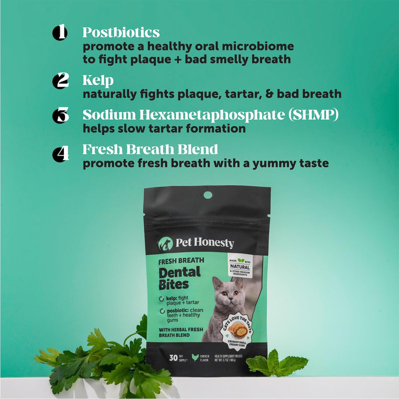 Pet Honesty Cat Dental & Multivitamin Chews Virtual Bundle — Fresh Dental Bites + Multivitamin Crunchy & Creamy Chews (30-Day Supply)