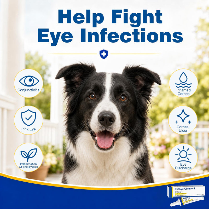 Pet Eye Ointment, Cat & Dog Eye Area Care, Gentle Daily Moisture Support, Pet Care Formula, Single Pack, 0.35 Oz / 10g