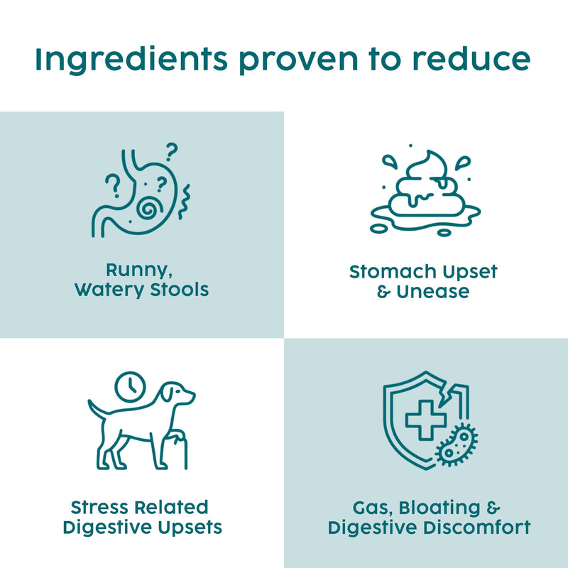 Dog Diarrhea Treatment, Fast Acting Diarrhea Relief for Dogs, 250ml, Dog Tummy Settler for Upset Stomach, Soothe Digestion & Firms Loose Stools, Fully Natural Tummy Liquid Only
