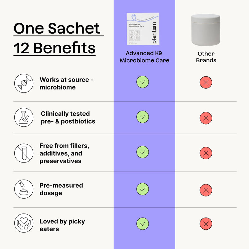Daily Probiotic + Prebiotic + Postbiotic Dog Supplement Powder | 12-in-1 Gut, Joints, Allergy, Immunity, Calming & Oral Health | Human-Grade, No Artificial Flavors, No Fillers - 30 Sachets