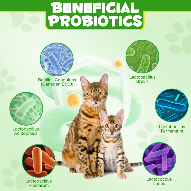 Probiotic Powder for Cats, Cat Pre and Probiotic Supplement for Gut Health, Digestive Support, All Ages and Breeds with Sensitive Digestion((1 Pot (120g))