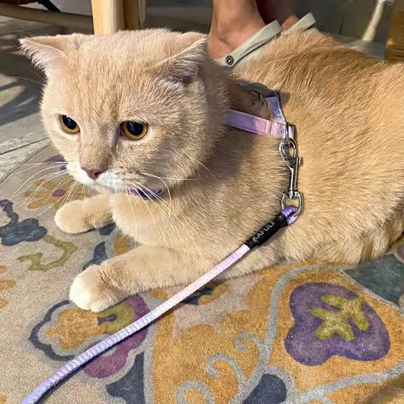 Cat Harness with Leash Escape-Proof Cat Harness Leash Adjustable Cat Leash with Harness for Small Medium Cats Outdoor Walking, Gradient Purple - BeesActive Australia